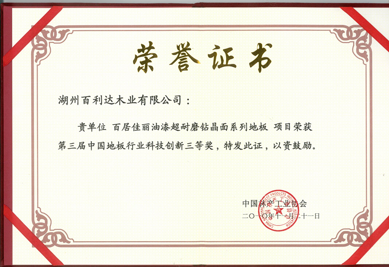第三屆中國地板行業(yè)科技創(chuàng)新獎(jiǎng)三等獎(jiǎng)
